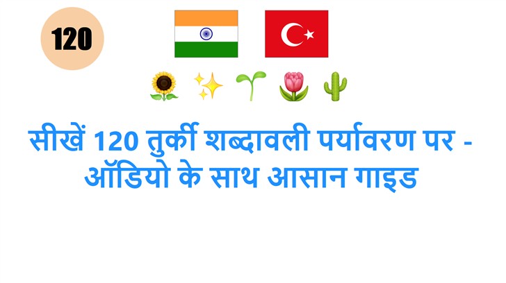 सीखें 120 तुर्की शब्दावली पर्यावरण पर - ऑडियो के साथ आसान गाइड